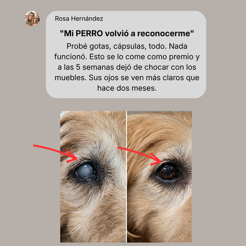 Fórmula Avanzada para Visión Canina