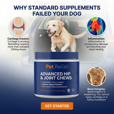 Advanced Hip & Joint Chews