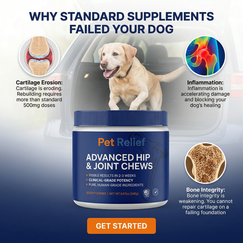 Advanced Hip & Joint Chews