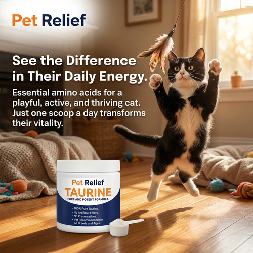 Advanced Feline Taurine Formula