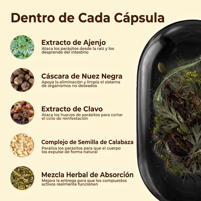 Elimina Parásitos y Larvas Ocultos en Solo 14 Días con Ajenjo Nuez Negra Clavo